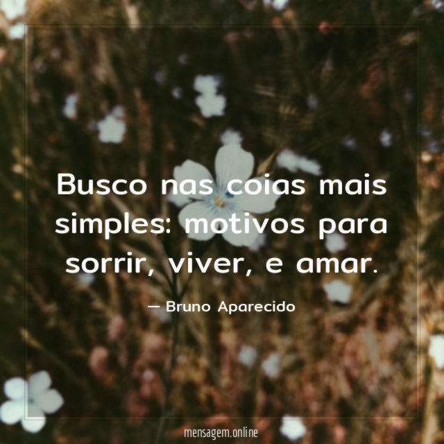 Busco nas coias mais simples