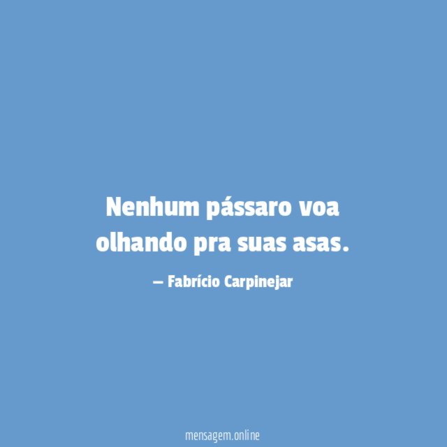 Nenhum pássaro voa olhando pra suas asas