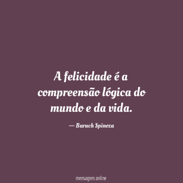 A felicidade é a compreensão lógica do mundo e da vida