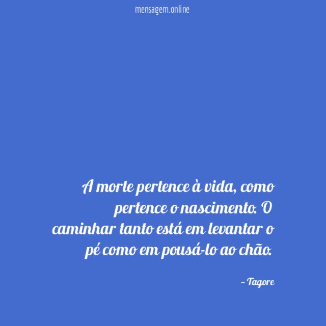 A morte pertence à vida