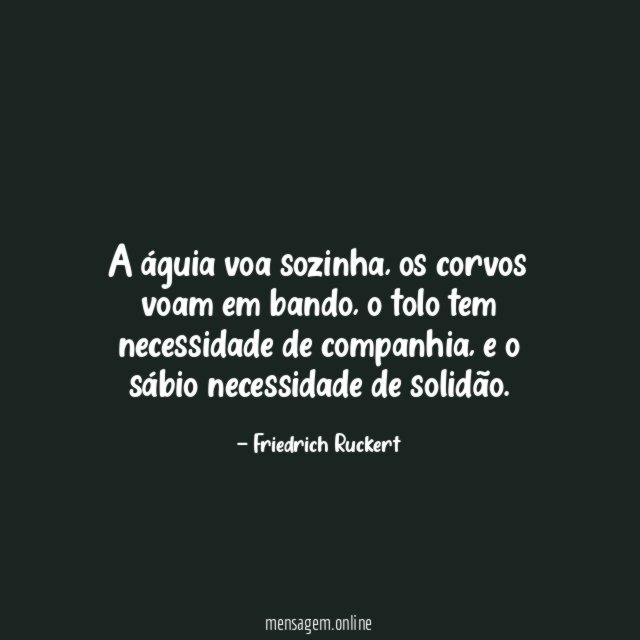 A águia voa sozinha