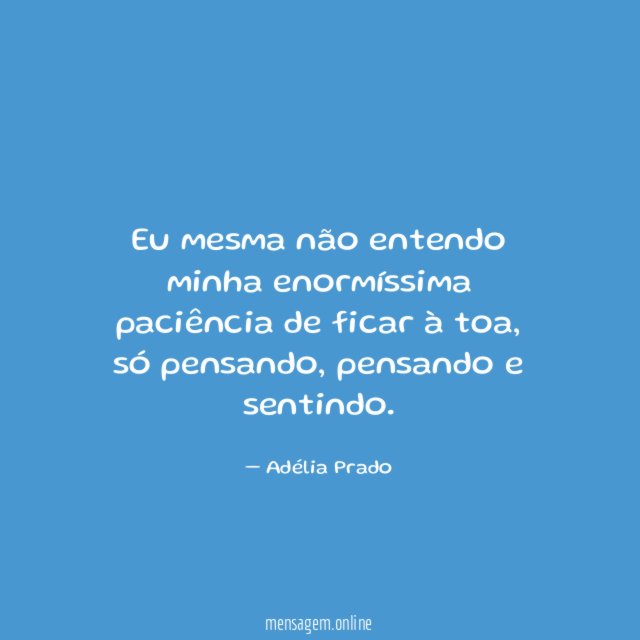 Eu mesma não entendo minha enormíssima paciência de