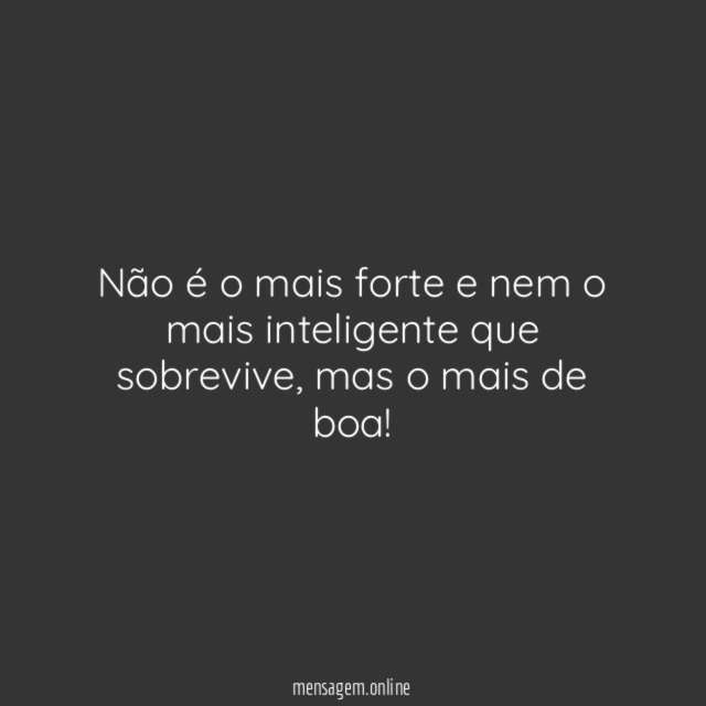 Não é o mais forte e nem o mais inteligente que sobrevive