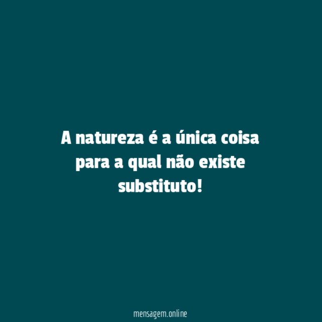 A natureza é a única coisa para a qual não existe substituto