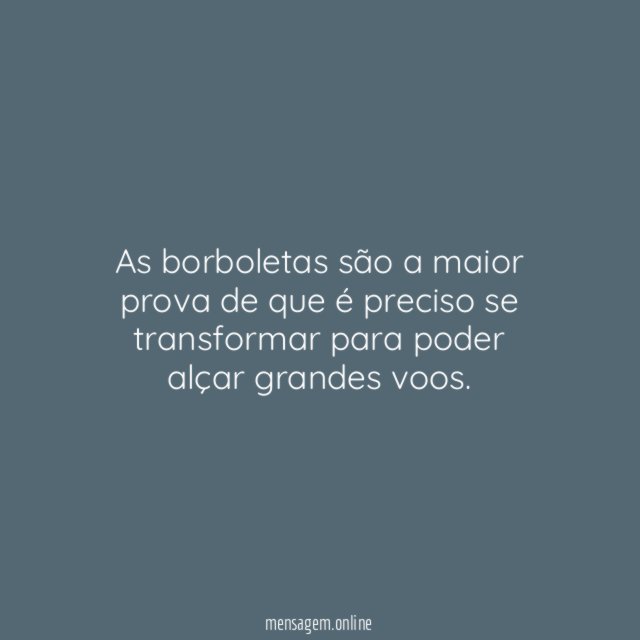 As borboletas são a maior prova de que
