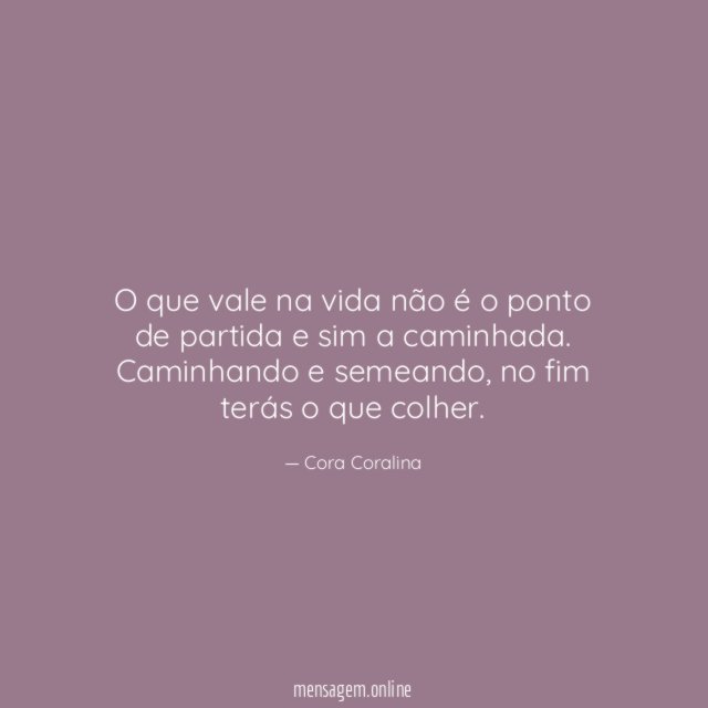 O que vale na vida não é