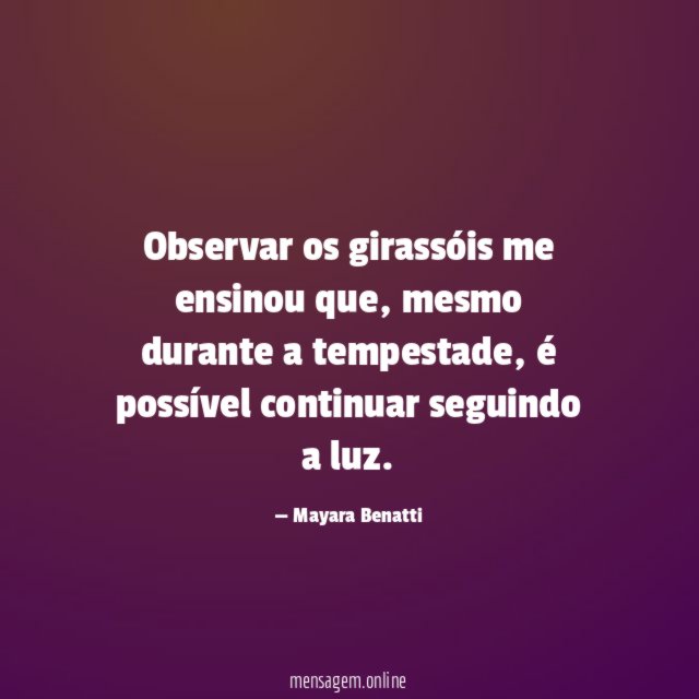 Observar os girassóis me ensinou que