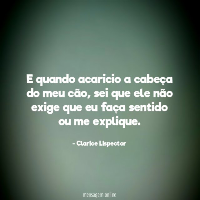 E quando acaricio a cabeça do meu cão