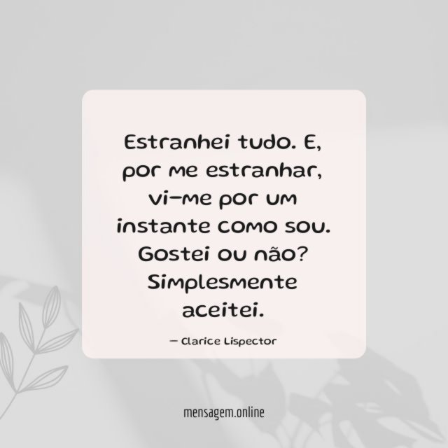 Estranhei tudo
