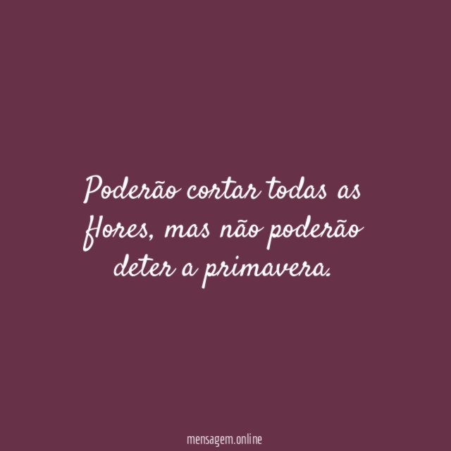 Poderão cortar todas as flores