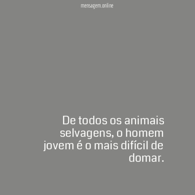 De todos os animais selvagens