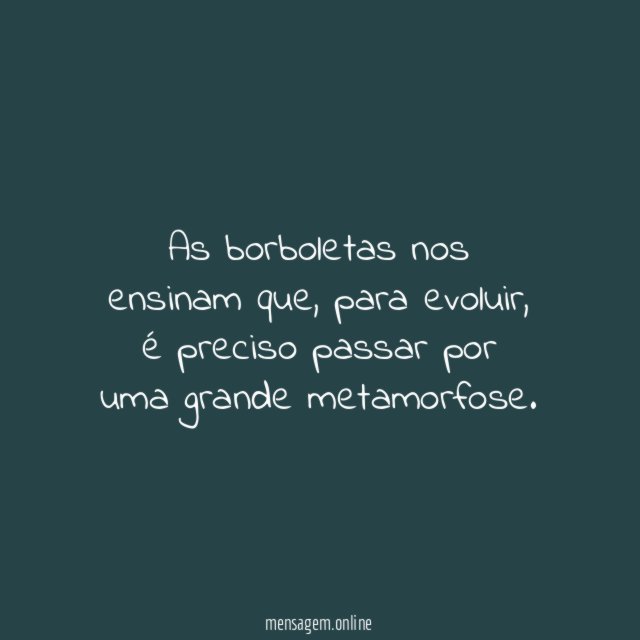 As borboletas nos ensinam que