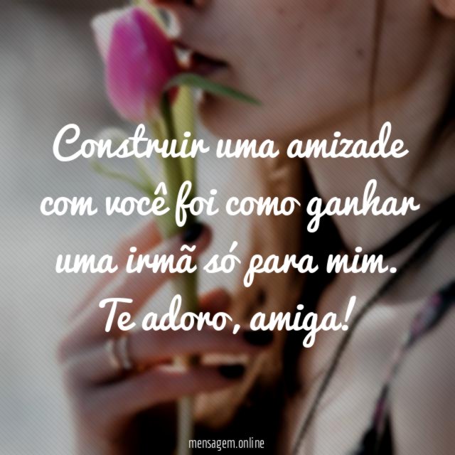 Construir uma amizade com você foi como ganhar