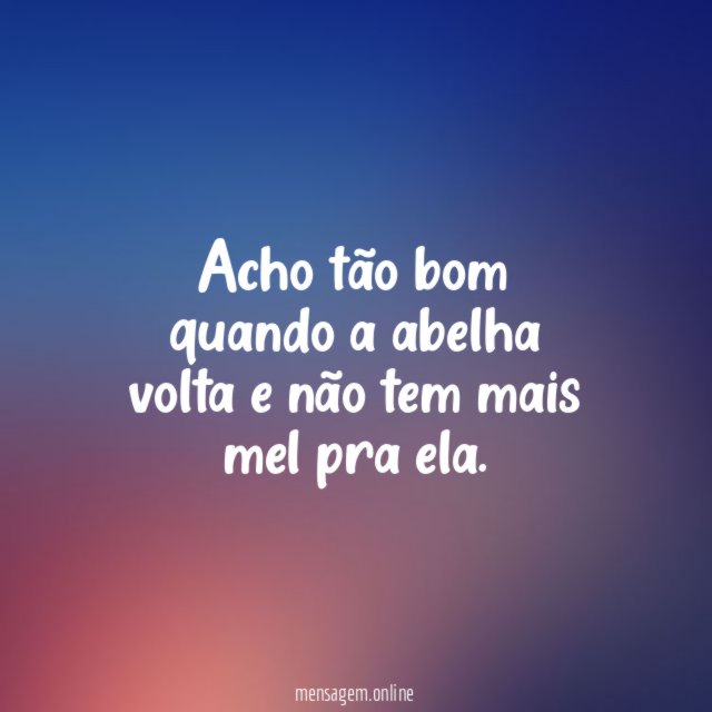 Acho tão bom quando a abelha volta
