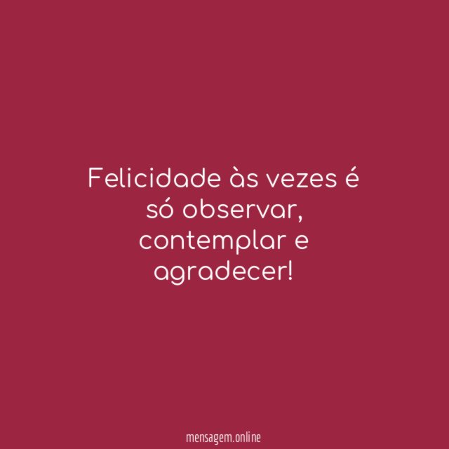 Felicidade às vezes é só observar
