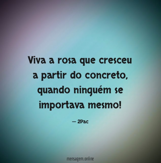 Viva a rosa que cresceu a partir do concreto