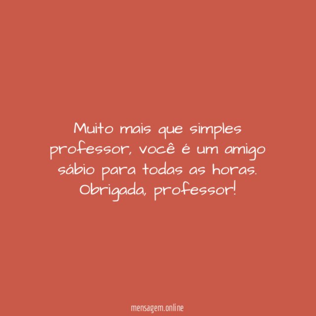 Muito mais que simples professor