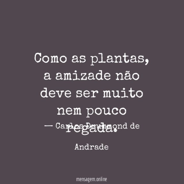 Como as plantas