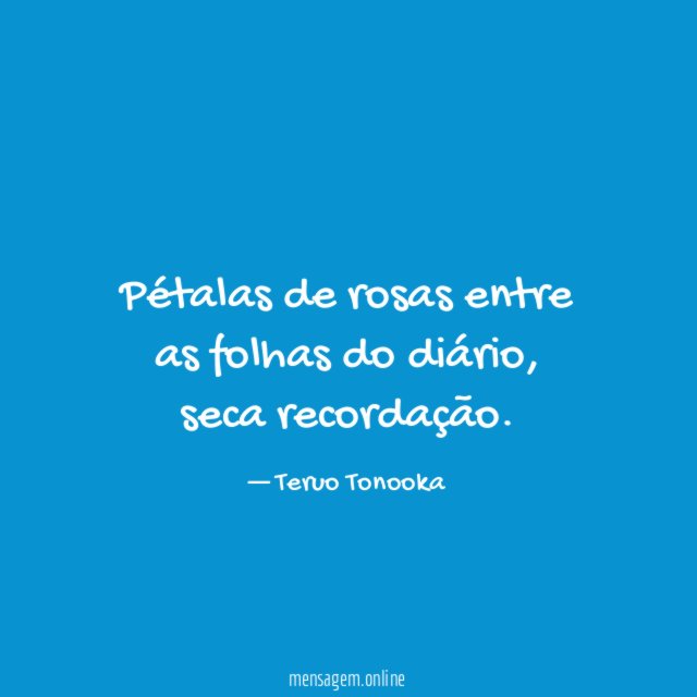 Pétalas de rosas entre as folhas do diário