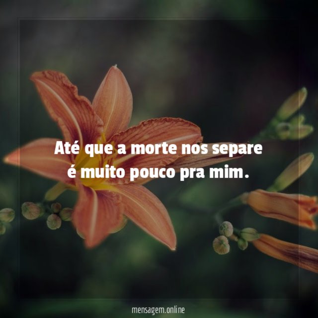 Até que a morte nos separe é muito pouco pra mim