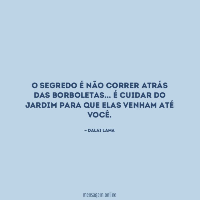 O segredo é não correr atrás das borboletas
