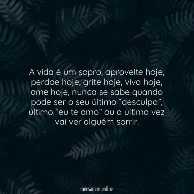 A vida é um sopro, aproveite hoje, perdoe hoje