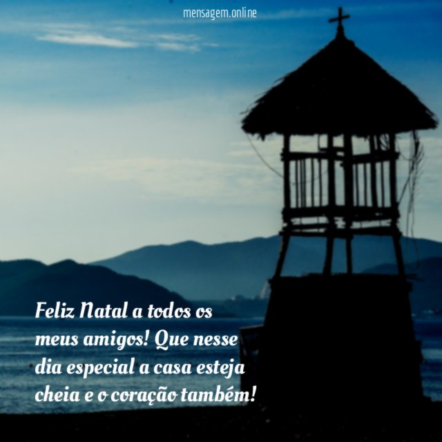 Feliz Natal a todos os meus amigos!