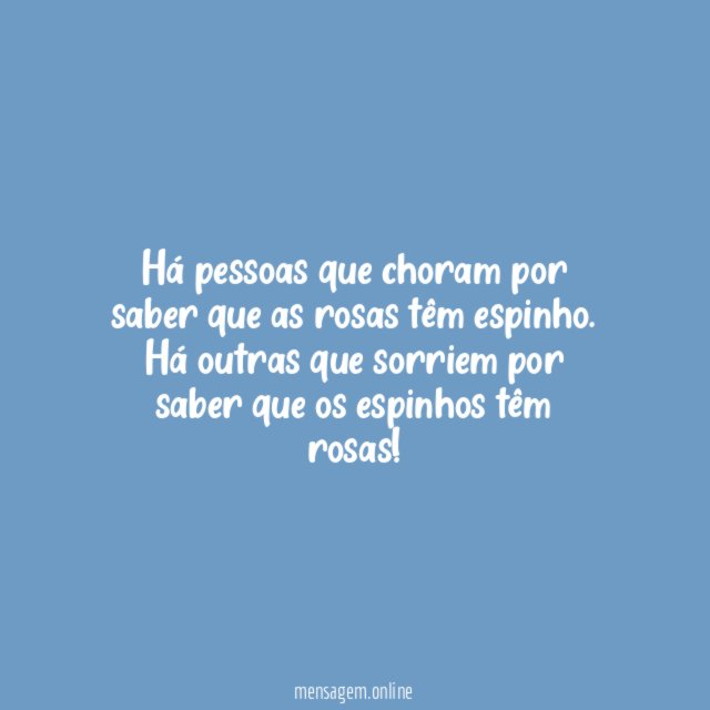 Há pessoas que choram por saber que as rosas