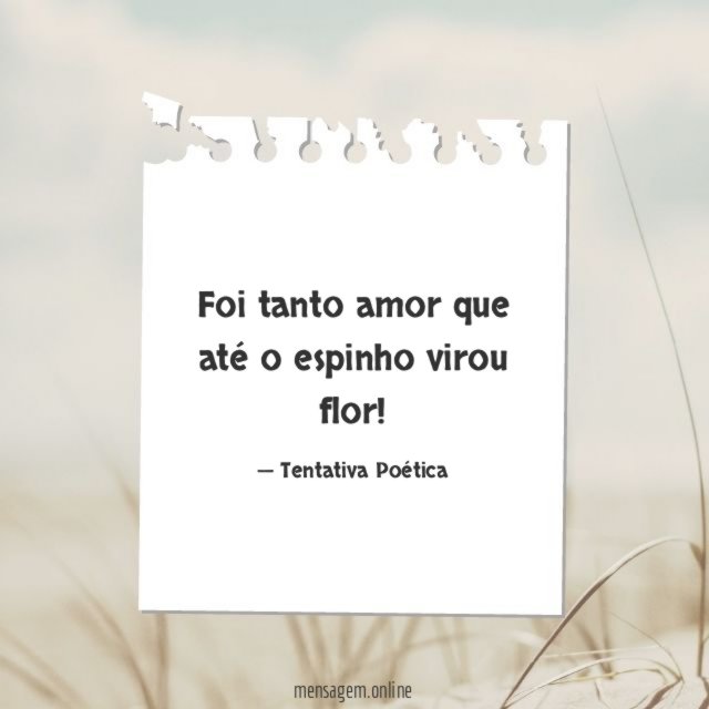 Até o espinho virou flor