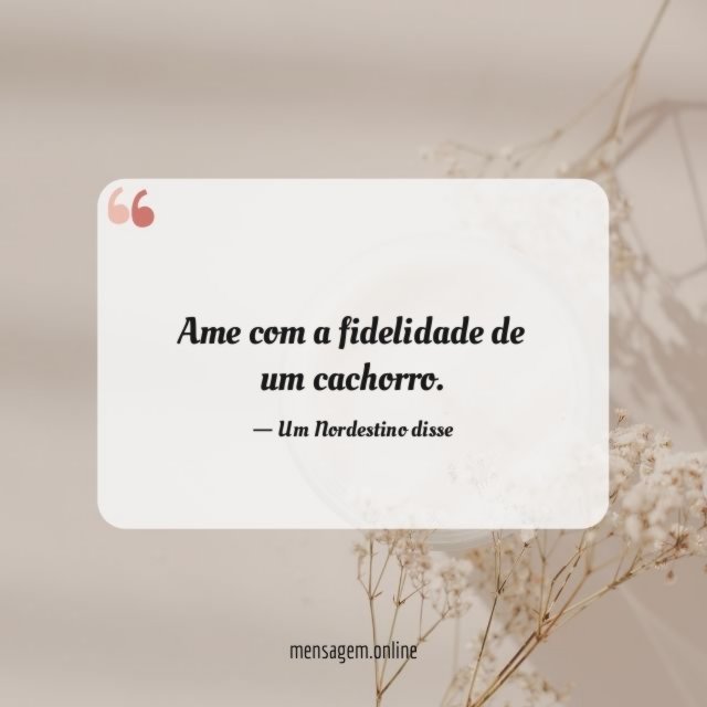 A fidelidade de um cachorro