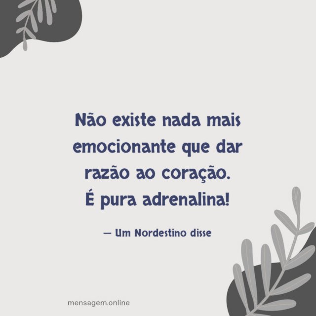 Não existe nada mais emocionante