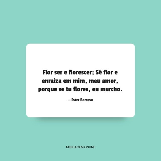 Flor ser e florescer