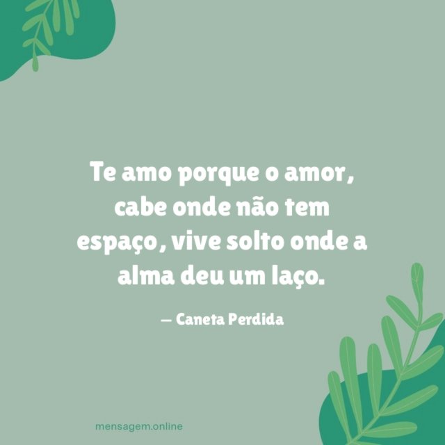Te amo porque o amor