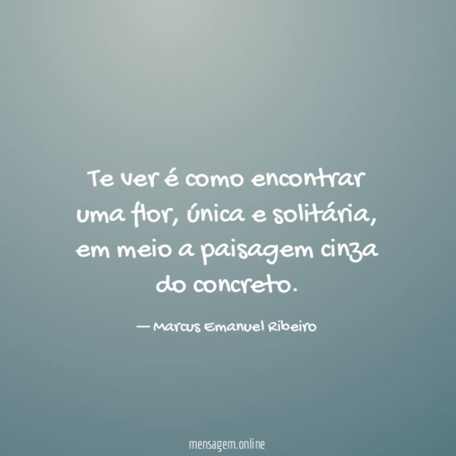Te ver é como encontrar uma flor