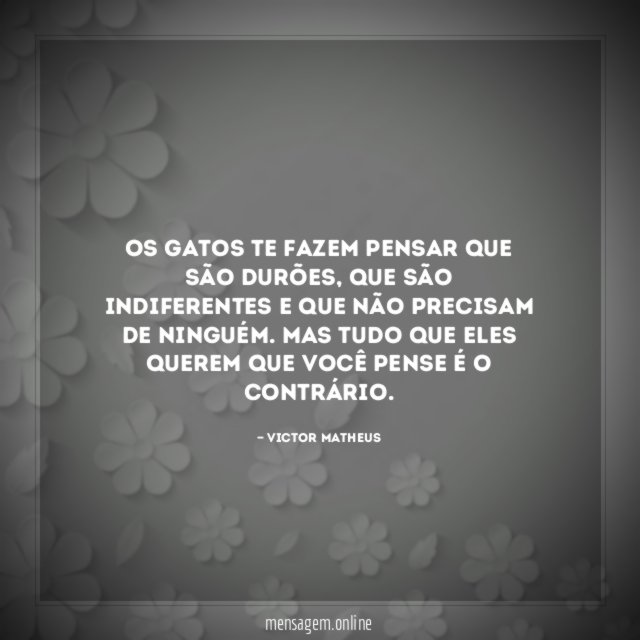 Os gatos te fazem pensar