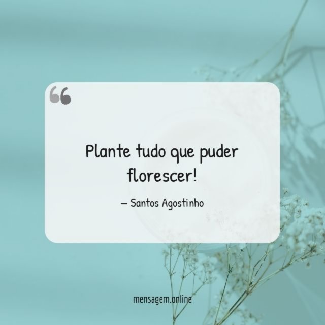 Plante tudo que puder