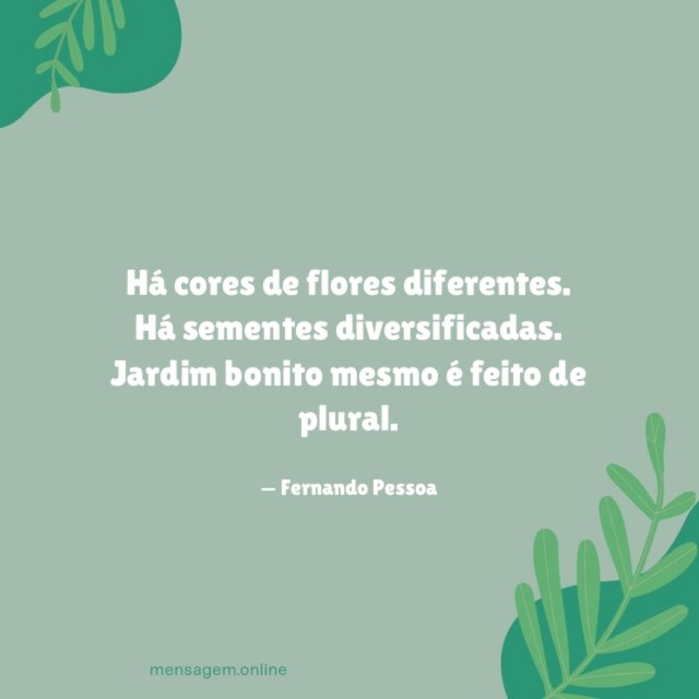Há cores de flores diferentes