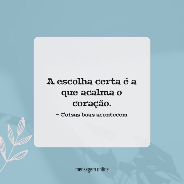 A escolha certa é a que acalma