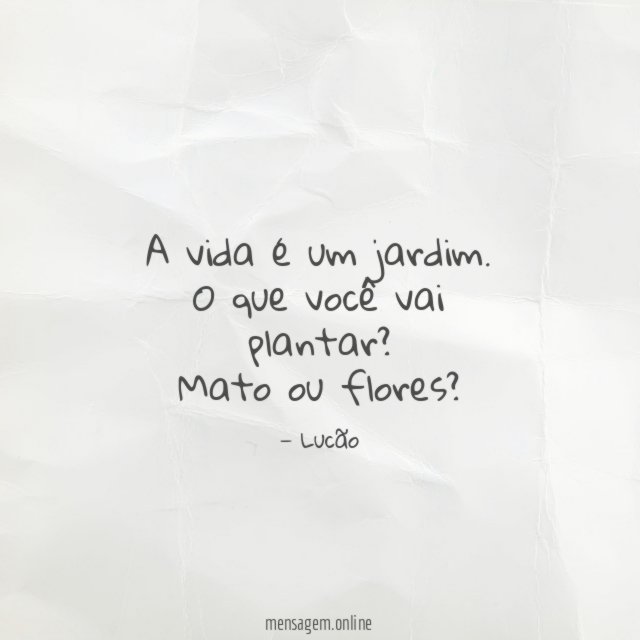 Mato ou flores?