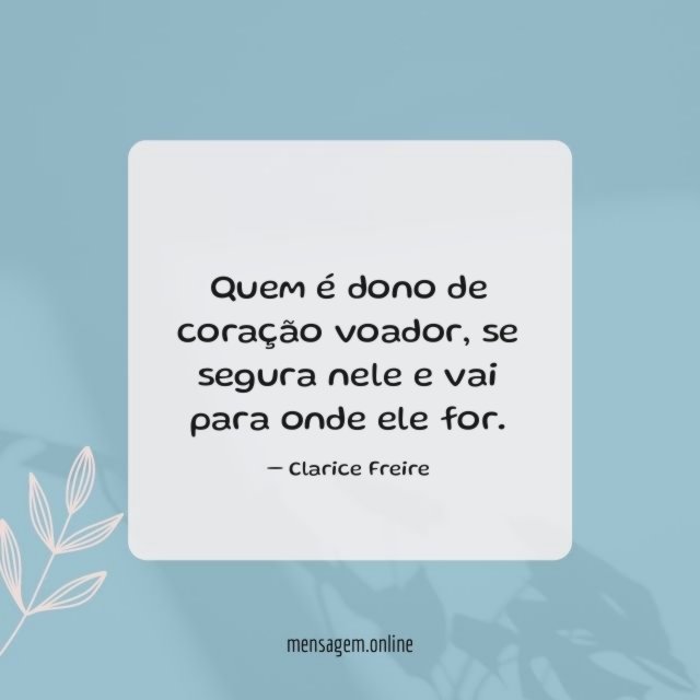 Coração voador