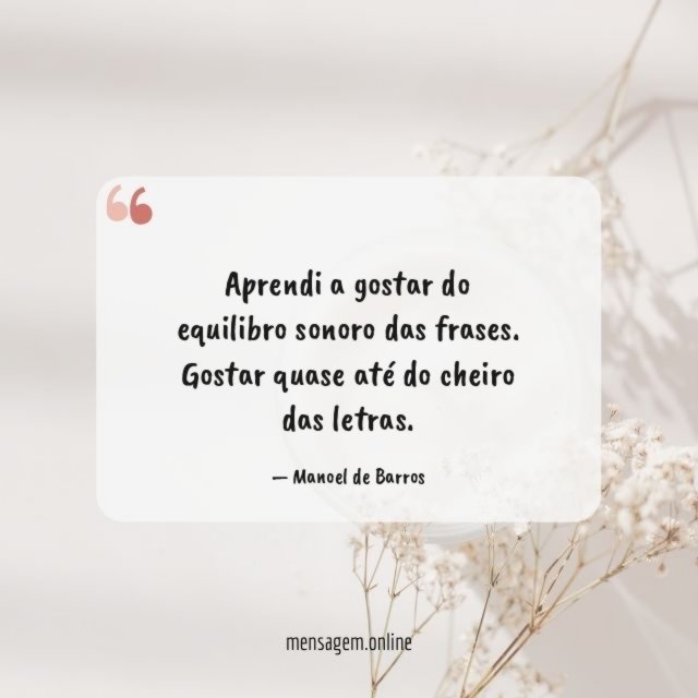 Aprendi a gostar do equilibro
