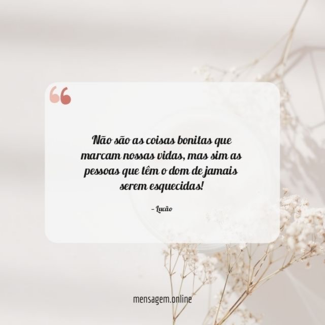 Não são as coisas bonitas