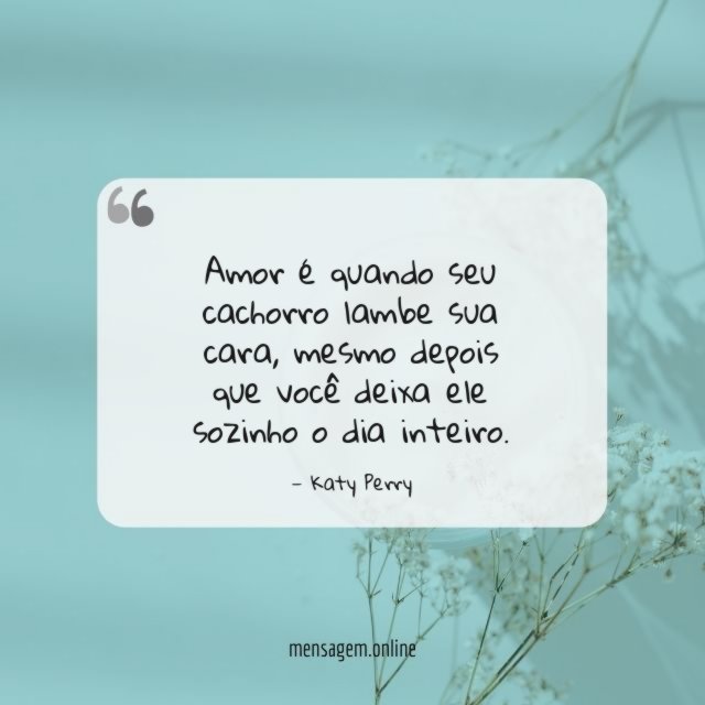 Amor é quando seu cachorro