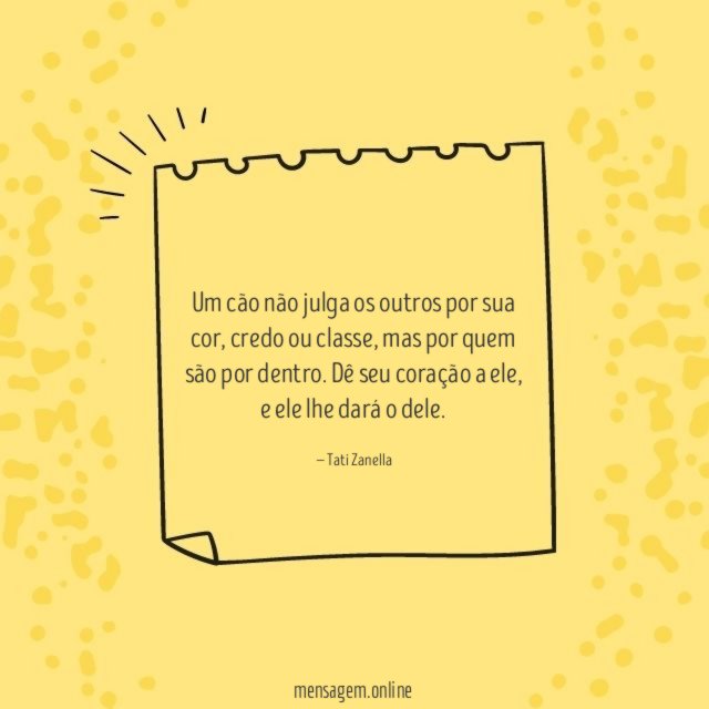 Um cão não julga