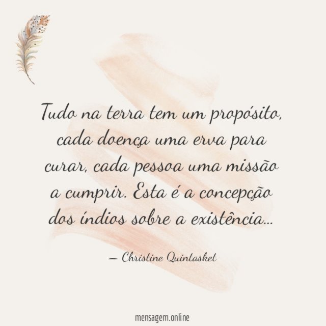 Tudo na terra tem um