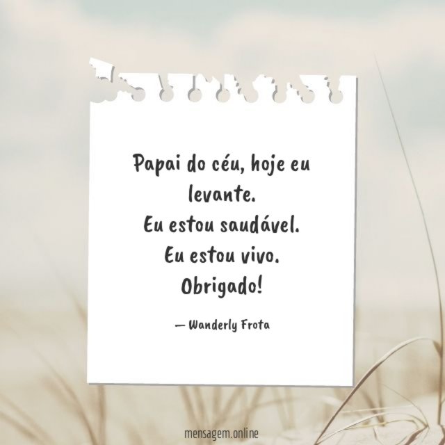 Papai do céu