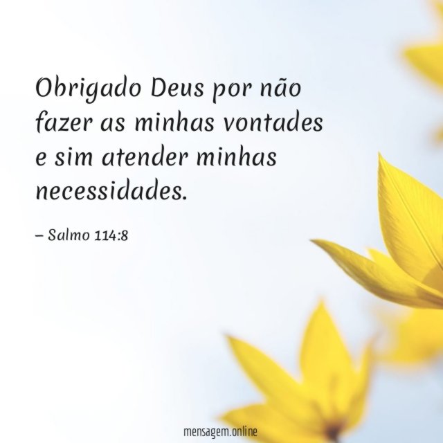 Obrigado Deus por não fazer