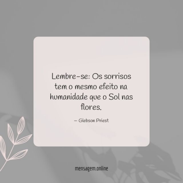 O Sol nas flores