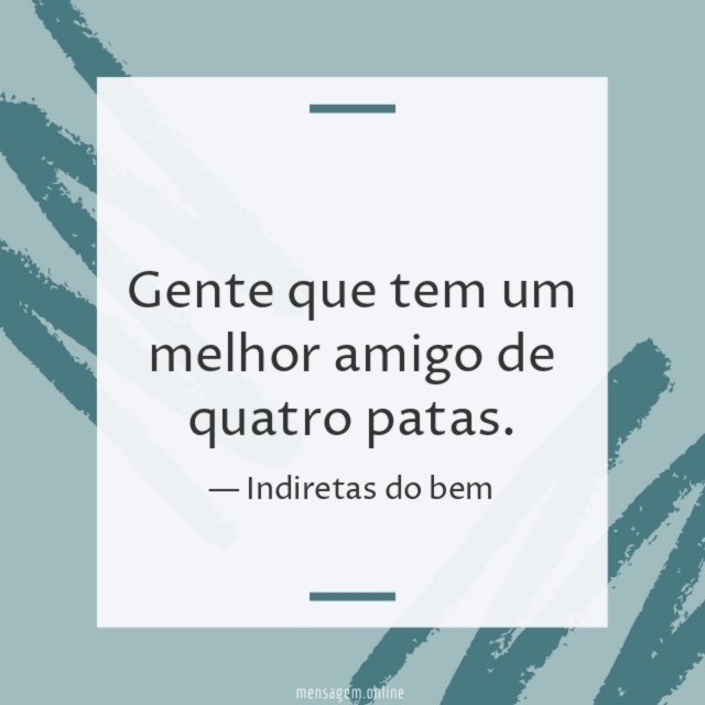 Um melhor amigo de quatro patas