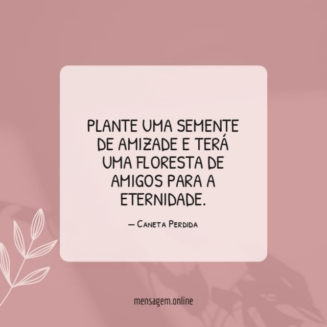 Plante uma semente de amizade